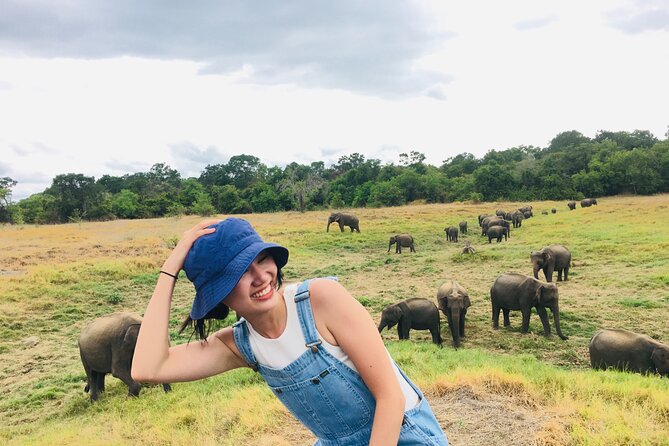Minneriya National Park Halfday Safari - Customer Reviews and Ratings