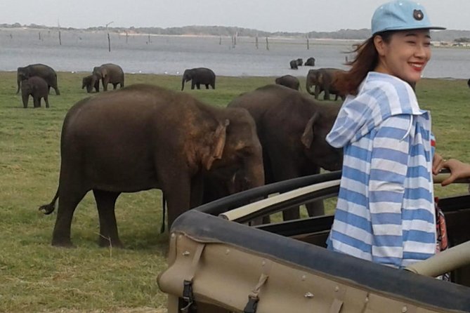 Minneriya National Park Private Safari - Pickup and Transportation Details