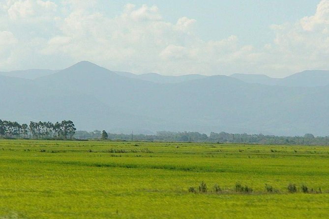 Minneriya National Park | Private Safari - About the Tour Operator