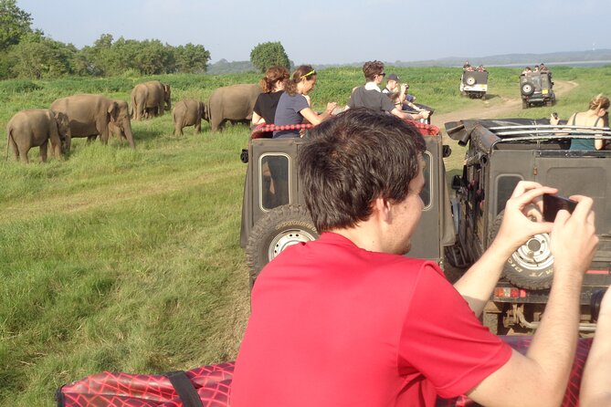 Minneriya National Park Private Safari From Habarana - Customization and Preferences