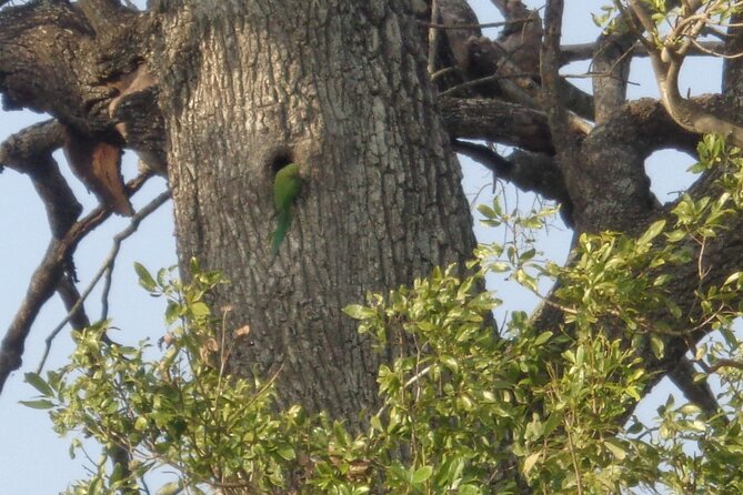Minneriya National Park Private Safari From Habarana - Health and Safety Considerations