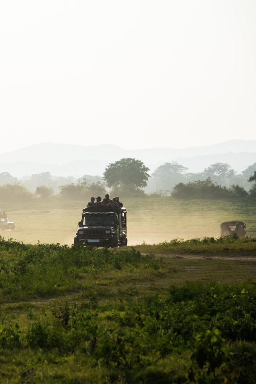Minneriya National Park Safari by a 4x4 - Booking Information