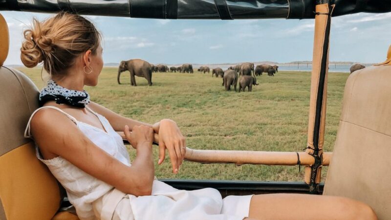 Minneriya National Park Safari in a 4x4 - Key Points