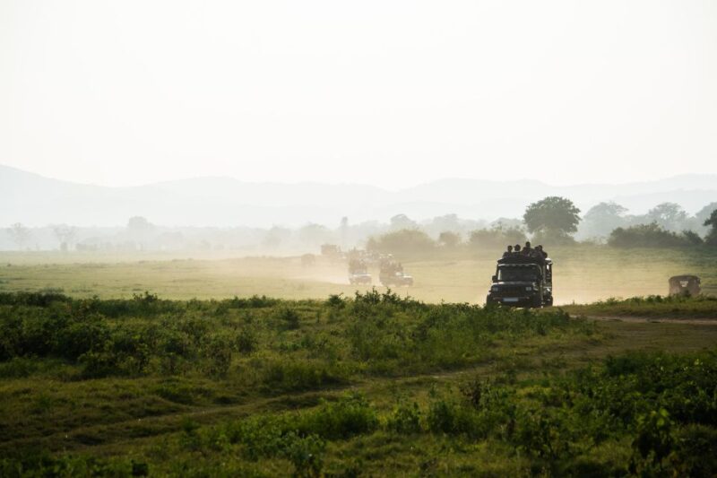 Minneriya National Park Safari in a 4x4 - Customer Feedback