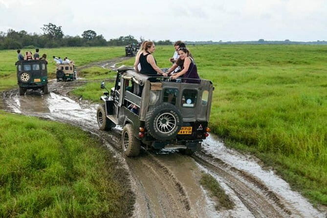 Minneriya National Park Safari [private , full package] - Why This Tour Offers Good Value