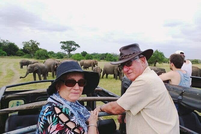 Minneriya National Park Safari [private , full package] - Who Should Consider This Tour?