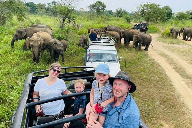 Minneriya National Park Safari - Private Jeep with Hotel Pickup - Key Points