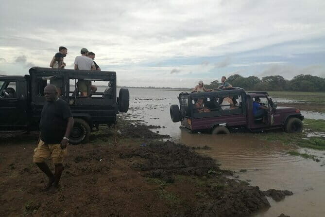 Minneriya National Park Safari - Private Jeep with Hotel Pickup - FAQs