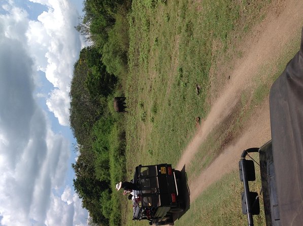 Minneriya National Park Safari Tour From Dambulla or Polonnaruwa - Highlights of Minneriya National Park