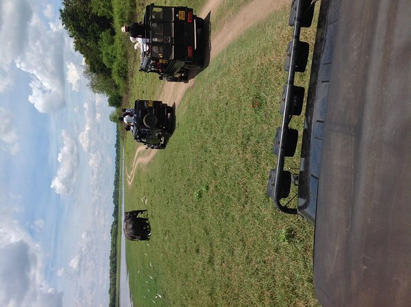 Minneriya National Park Safari Tour From Dambulla or Polonnaruwa - Why Choose This Tour?