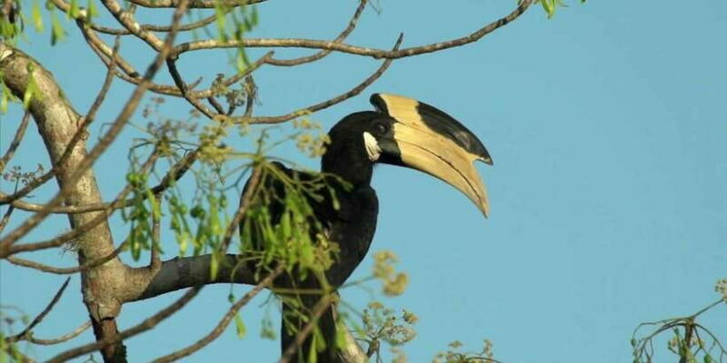 Minneriya: Private Jeep Safari From Trincomalee - Final Thoughts: Is It Worth It?