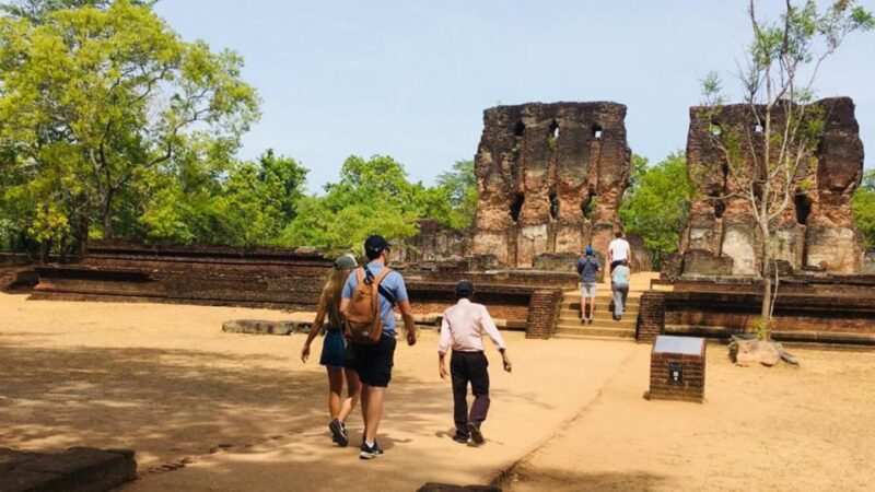Minneriya: Wild Safari and Polonnaruwa Sightseeing Day Tour - Itinerary