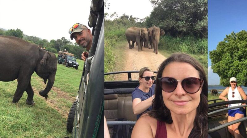 Minneriya: Wild Safari and Polonnaruwa Sightseeing Day Tour - Lunch Break