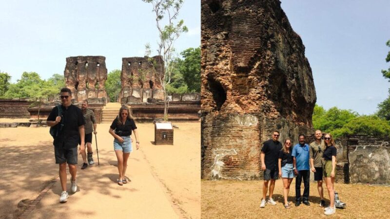 Minneriya: Wild Safari and Polonnaruwa Sightseeing Day Tour - Elephant Safari Options
