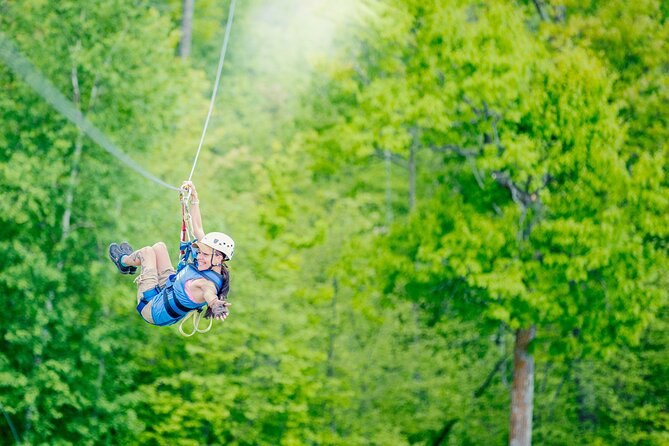Minnesotas Premiere 7 Line Zipline Experience - Key Points