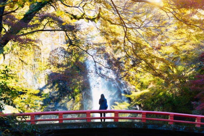 Minoo Park Adventure: Nature, Temples, and Coffee Bliss - Yamamoto Coffee-kan
