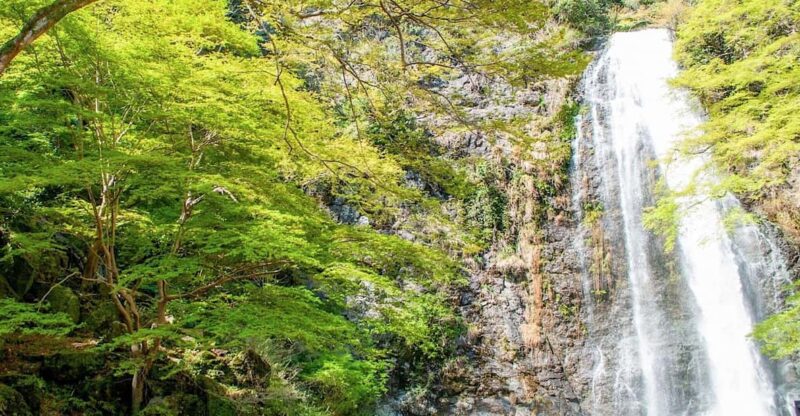 Minoo Park: Guided Nature Walk - Key Points