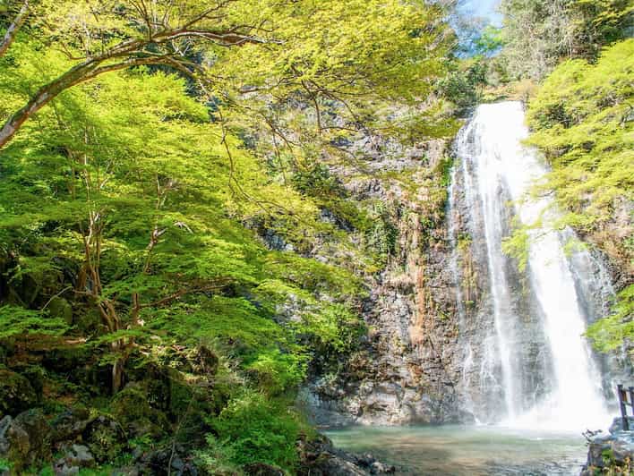 Minoo Park: Guided Nature Walk - Visiting Ryuan-ji Temple