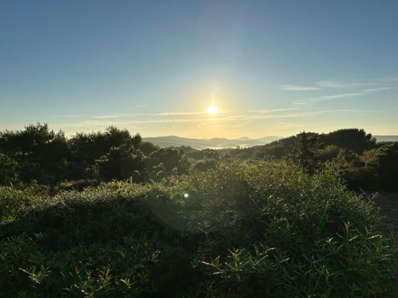 Minorca Awakens: Breakfast at Sunrise - Key Points
