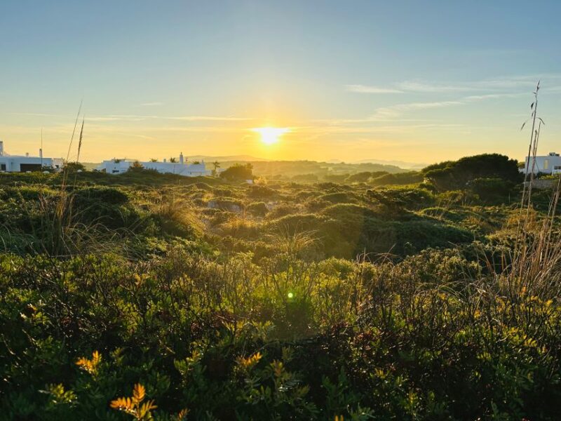Minorca Awakens: Breakfast at Sunrise - Availability and Booking