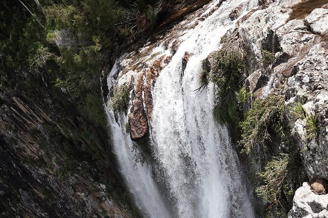 Minyon Falls Full-Day Walking Tour - Health and Accessibility