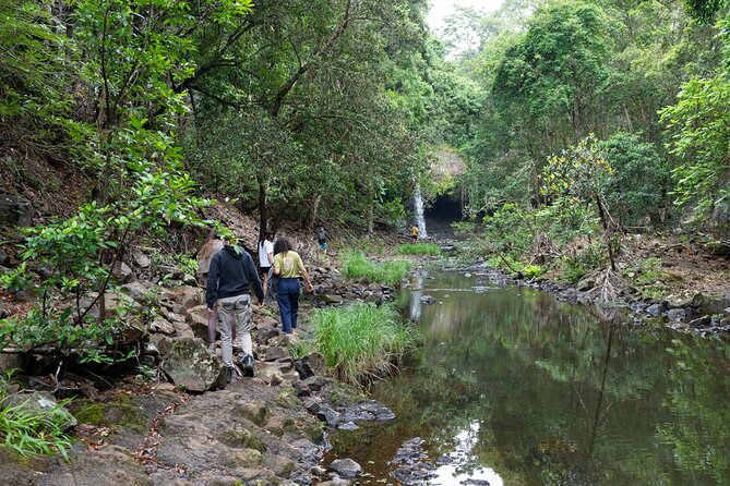 Minyon Falls Full-Day Walking Tour - Exploring the Minyon Falls