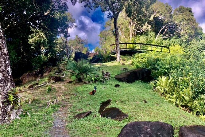 Mirimiri Tours - Why Choose Mirimiri Tours?