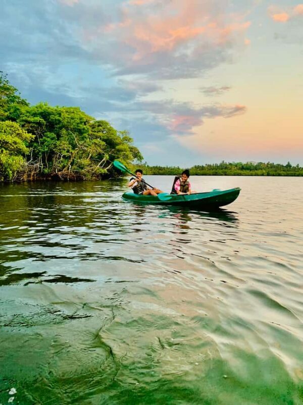 Mirissa: Kayak Safari Adventure Through Mangrove - Key Points