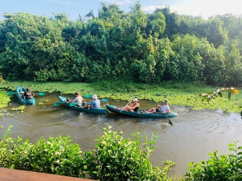 Mirissa: Kayak Safari Adventure Through Mangrove - An In-Depth Look at the Kayak Safari Adventure