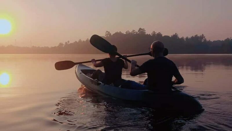 Mirissa: Kayak Safari Adventure Through Mangrove - Who Should Book This Tour?