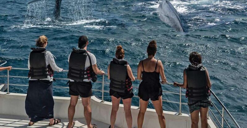 Mirissa: Morning Whale Watching Tour - Frequently Asked Questions