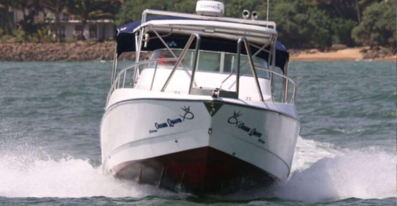 Mirissa: Ocean Elegance: Exclusive Whales & Dolphins Cruise - Key Points