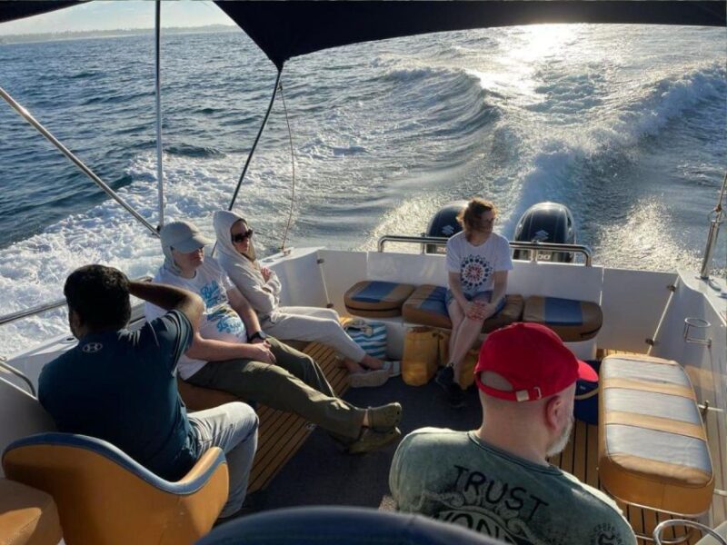 Mirissa: Ocean Elegance: Exclusive Whales & Dolphins Cruise - Refreshments and Government Taxes Included