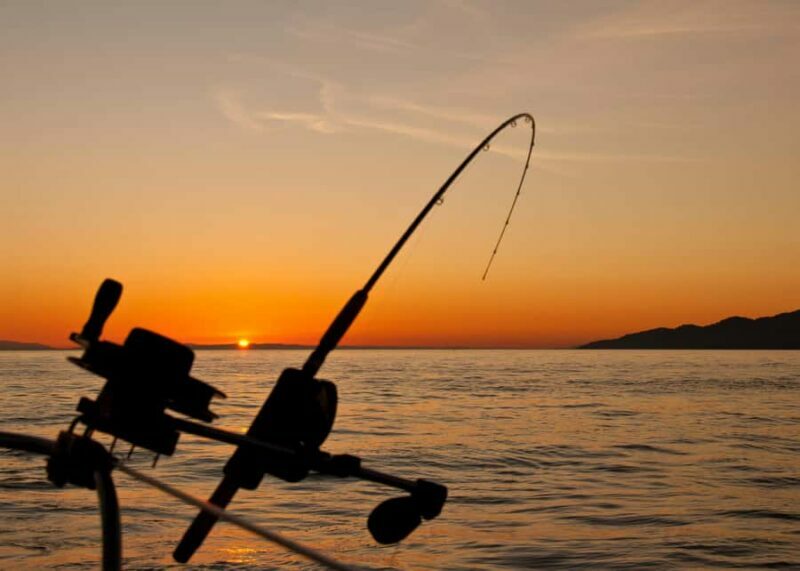 Mirissa: Private Deep Sea Fishing Boat Tour with Local Guide - Introduction