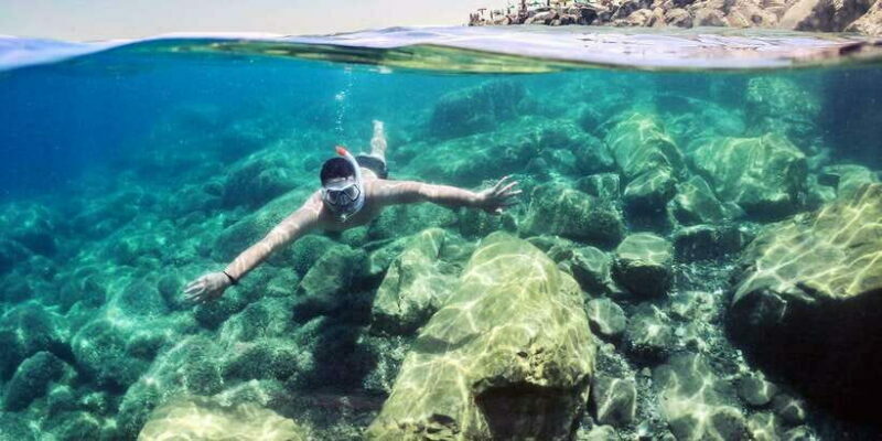 Mirissa: Snorkeling Experience with Turtles - Who Would Enjoy This Tour?
