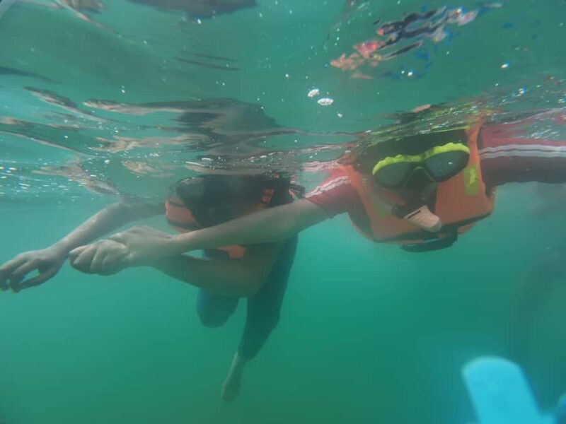 Mirissa Snorkeling Trip with Sea Turtles & Coral Reef - An Introduction to Mirissa’s Underwater Charms