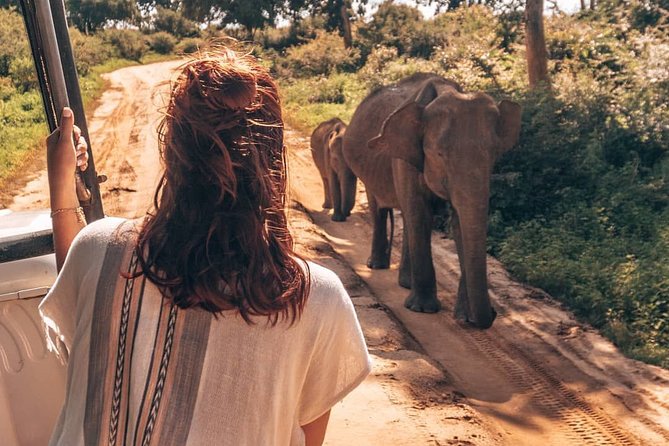 Mirissa to Ella Shuttle & Safari Drive - Host Responsiveness