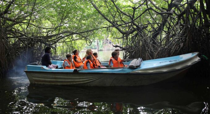 Mirissa/Weligama/Galle: Galle & Bentota Coastal Day Tour - Turtle Hatchery Experience