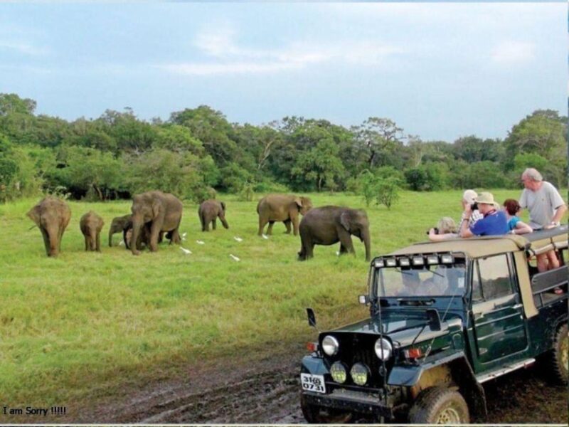 Mirissa/Weligama: Udawalawe Safari & Elephant Transits Home - Key Points