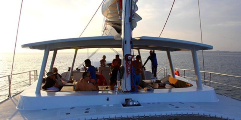 Mirissa: Whale & Dolphin Sightseeing Cruise - Key Points