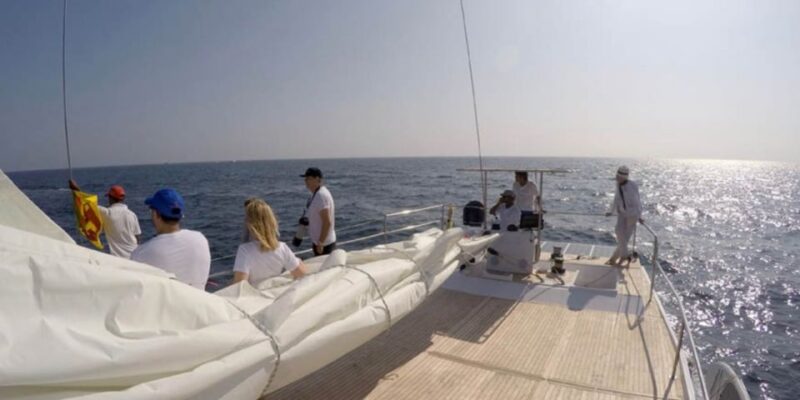 Mirissa: Whale & Dolphin Sightseeing Cruise - Booking Information