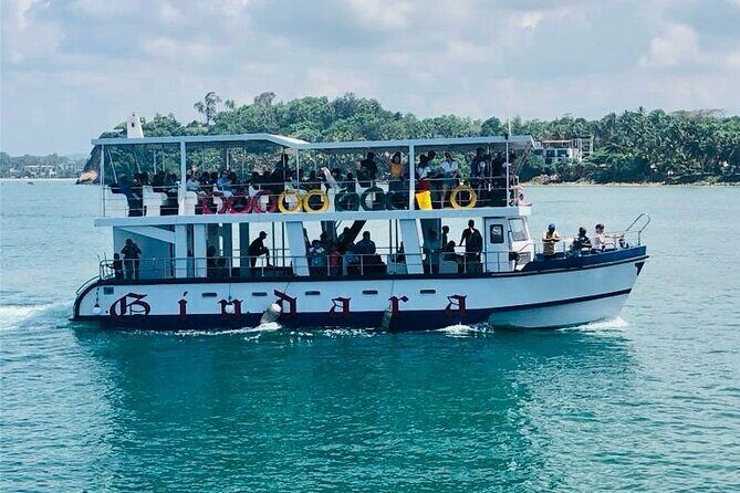 Mirissa Whale & Dolphin Watching Cruise with Geeths Crew - Key Points
