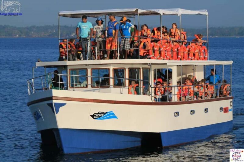 Mirissa: Whale & Dolphin Watching Trip with Private Transfer - The Sum Up