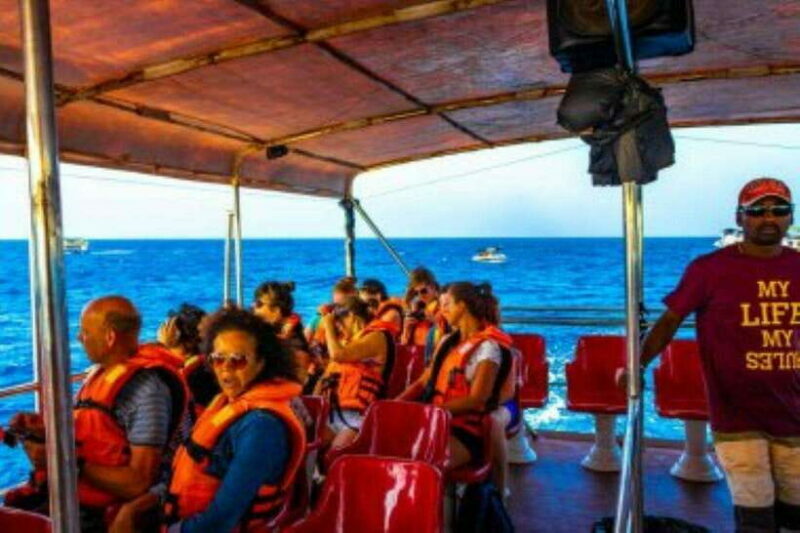 Mirissa: Whale Watching Cruise - What to Expect on the Tour