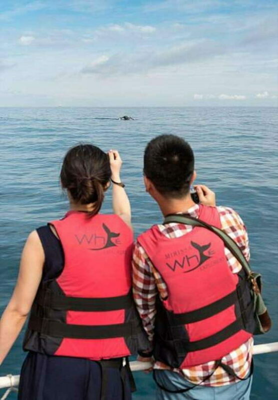 Mirissa: Whale Watching Cruise - Detailed Breakdown of the Itinerary