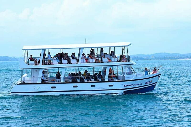 Mirissa: Whale Watching Cruise With Blue Whales & Dolphins - Deep Dive into the Itinerary