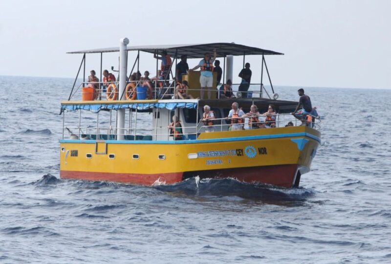 Mirissa Whale Watching Experience With Seafood Lunch - Key Points