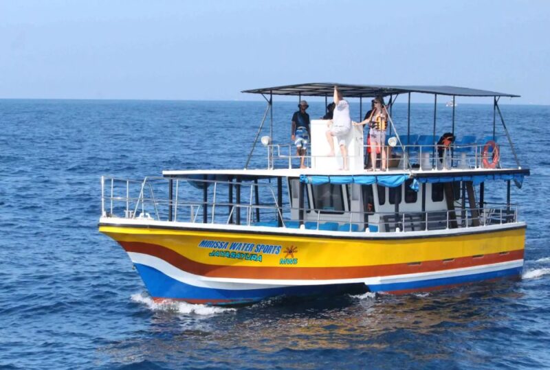 Mirissa Whale Watching Experience With Seafood Lunch - Inclusions and Amenities