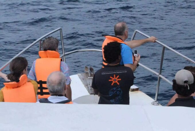 Mirissa Whale Watching Experience With Seafood Lunch - Regulations and Guidelines
