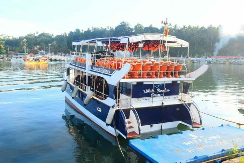 Mirissa: Whale Watching Tour - The Itinerary Breakdown: What You Can Expect
